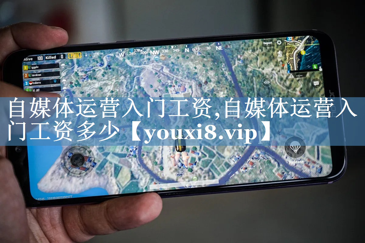 自媒体运营入门工资,自媒体运营入门工资多少
