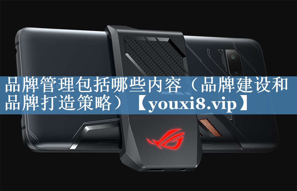 品牌管理包括哪些内容（品牌建设和品牌打造策略）