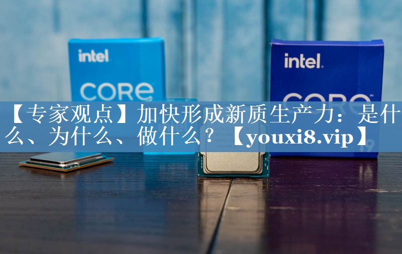 【专家观点】加快形成新质生产力：是什么、为什么、做什么？