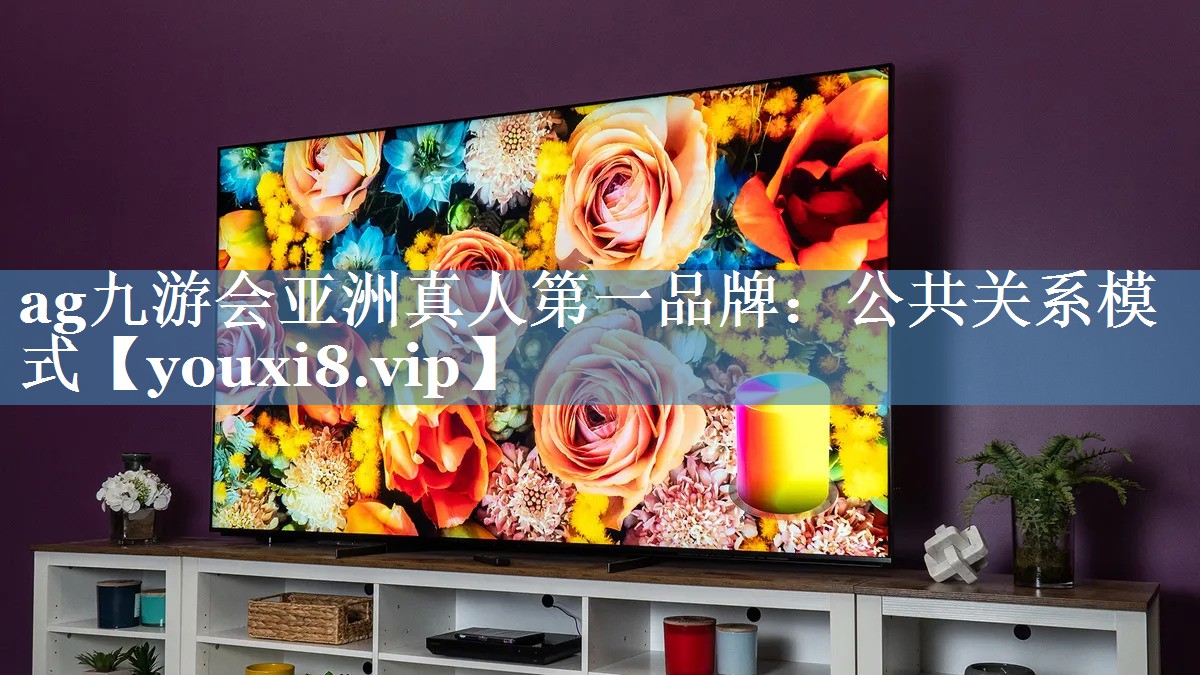 公共关系模式