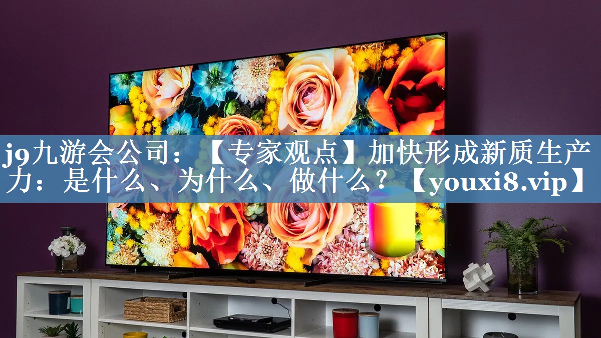 【专家观点】加快形成新质生产力：是什么、为什么、做什么？
