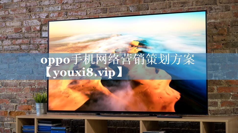 oppo手机网络营销策划方案