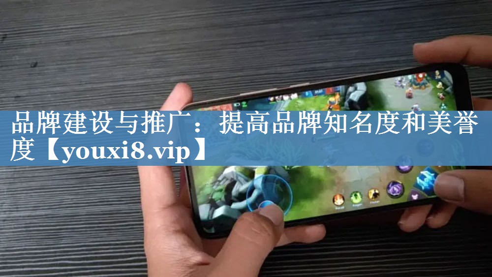 品牌建设与推广：提高品牌知名度和美誉度